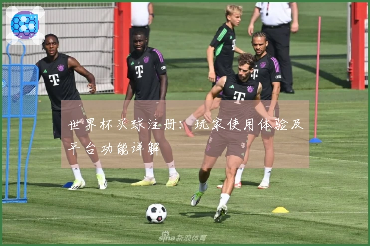 世界杯买球注册：玩家使用体验及平台功能详解