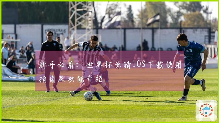 新手必看：世界杯竞猜iOS下载使用指南及功能介绍