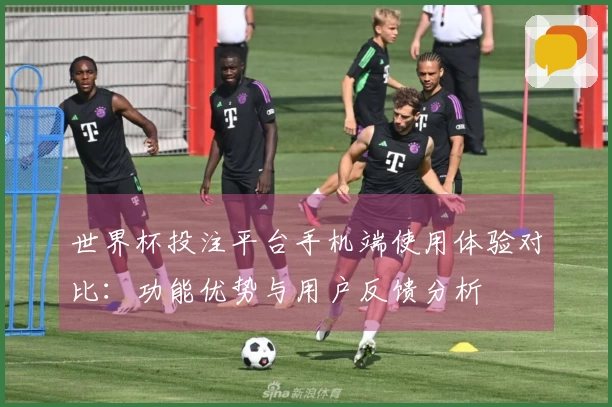 世界杯投注平台手机端使用体验对比：功能优势与用户反馈分析