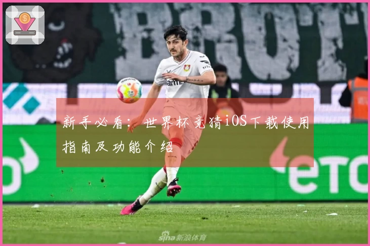 新手必看：世界杯竞猜iOS下载使用指南及功能介绍