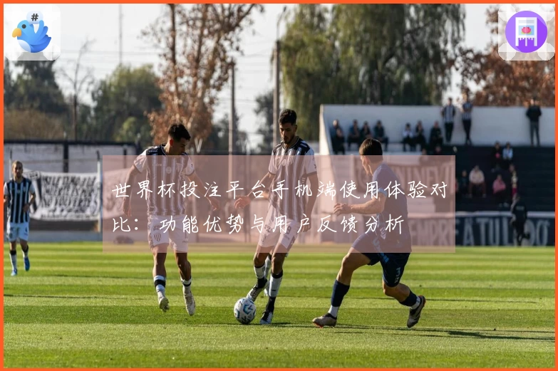 世界杯投注平台手机端使用体验对比：功能优势与用户反馈分析