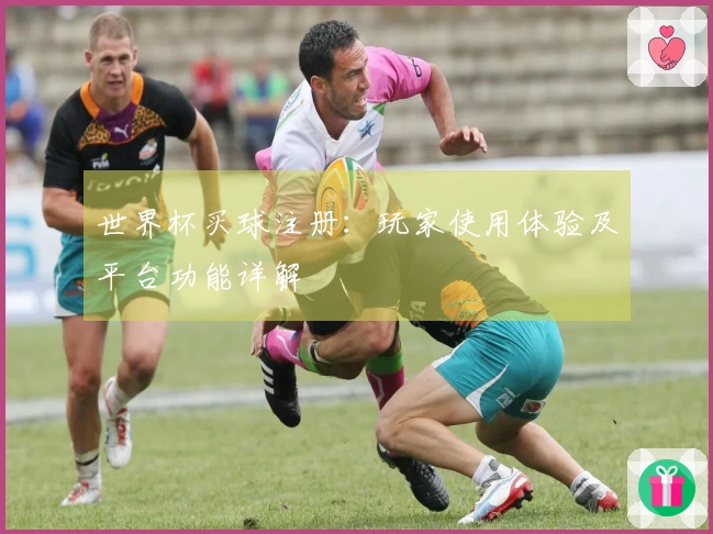 世界杯买球注册：玩家使用体验及平台功能详解